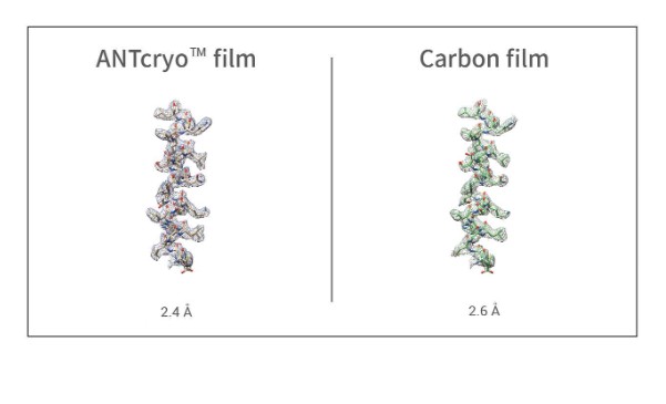 ANTCryo™ film vs Carbon film - Resolution
