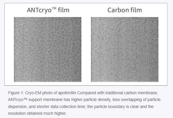 ANTCryo™ film vs Carbon film - Sample Preparation