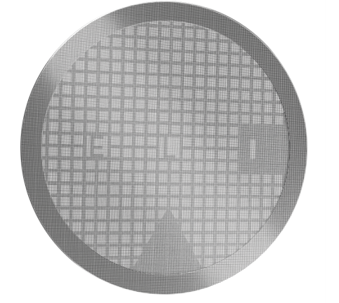 Cryo-EM Grid For Cell