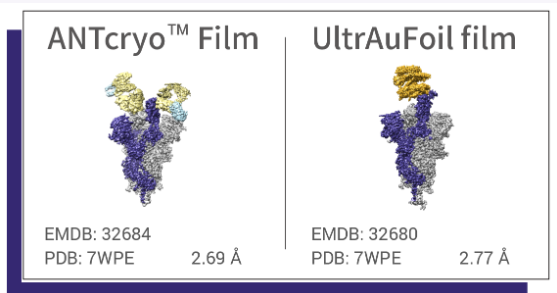 ANTcryo™ Film - Omicron Spike trimer