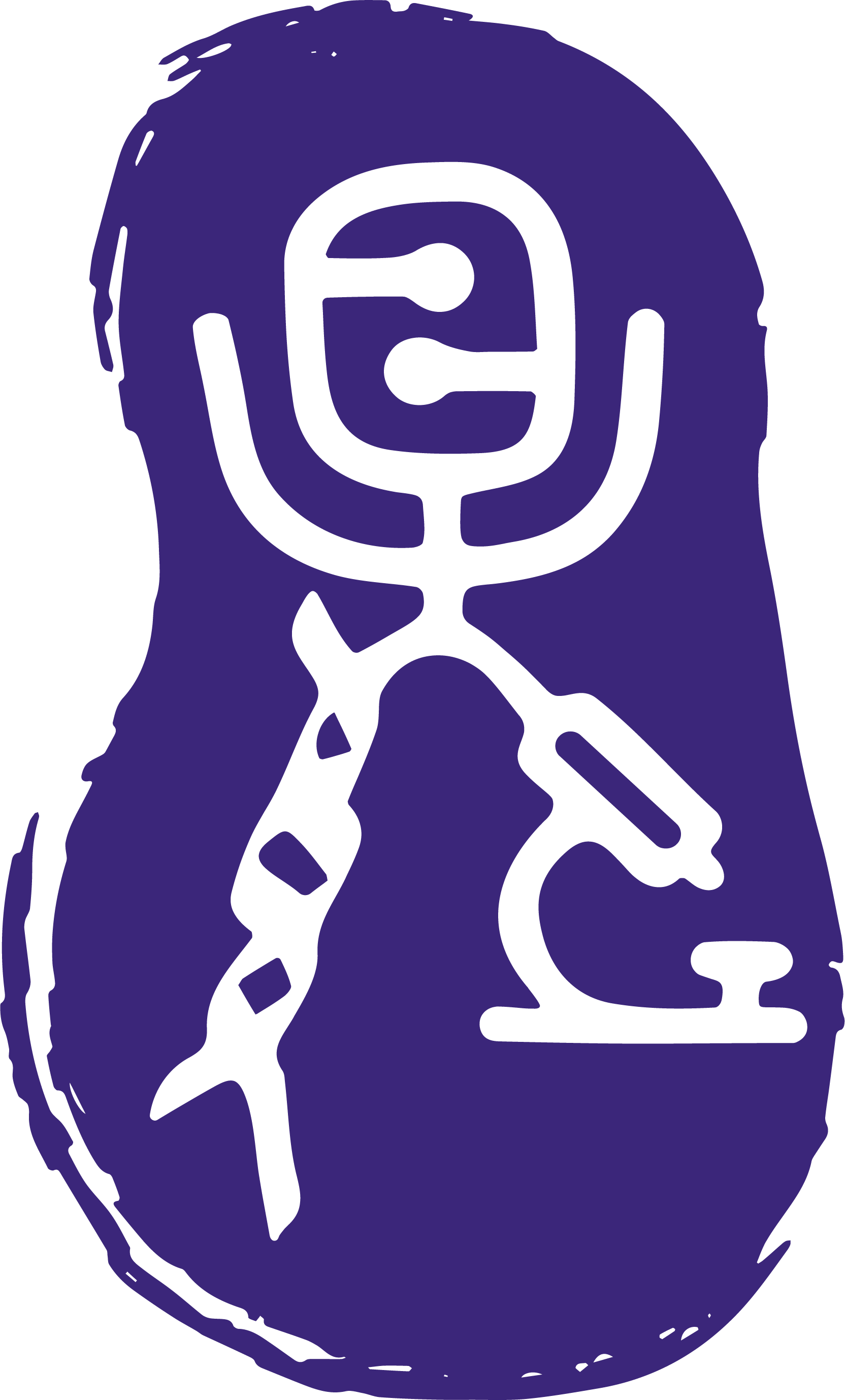 NanoDim Logo